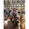 Image 2 : SL40 - COLORADO COW ELK/COYOTE RIFLE HUNT FOR 3 HUNTER