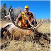 Image 4 : SL40 - COLORADO COW ELK/COYOTE RIFLE HUNT FOR 3 HUNTER