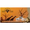 Image 1 : SL41 - SOUTH AFRICAN PLAINS GAME SAFARI FOR 1 HUNTER AND 1 NON-HUNTER