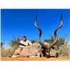 Image 2 : SL41 - SOUTH AFRICAN PLAINS GAME SAFARI FOR 1 HUNTER AND 1 NON-HUNTER