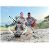 Image 4 : SL41 - SOUTH AFRICAN PLAINS GAME SAFARI FOR 1 HUNTER AND 1 NON-HUNTER