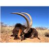 Image 7 : SL41 - SOUTH AFRICAN PLAINS GAME SAFARI FOR 1 HUNTER AND 1 NON-HUNTER