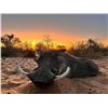 Image 8 : SL41 - SOUTH AFRICAN PLAINS GAME SAFARI FOR 1 HUNTER AND 1 NON-HUNTER
