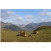 Image 10 : SL42 - ALASKAN GRIZZLY BEAR HUNT FOR 1 HUNTER