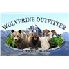Image 1 : SL42 - ALASKAN GRIZZLY BEAR HUNT FOR 1 HUNTER
