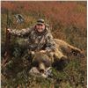 Image 3 : SL42 - ALASKAN GRIZZLY BEAR HUNT FOR 1 HUNTER