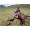 Image 4 : SL42 - ALASKAN GRIZZLY BEAR HUNT FOR 1 HUNTER
