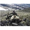 Image 5 : SL42 - ALASKAN GRIZZLY BEAR HUNT FOR 1 HUNTER