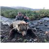Image 6 : SL42 - ALASKAN GRIZZLY BEAR HUNT FOR 1 HUNTER