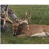 Image 2 : SL43 - NORTHERN WISCONSIN WHITETAIL HUNT FOR 1 HUNTER