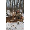 Image 4 : SL43 - NORTHERN WISCONSIN WHITETAIL HUNT FOR 1 HUNTER