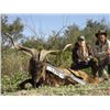 Image 4 : SL44 - ARGENTINA BIG GAME SAFARI FOR 2 HUNTERS