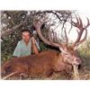 Image 5 : SL44 - ARGENTINA BIG GAME SAFARI FOR 2 HUNTERS