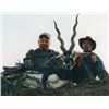 Image 7 : SL44 - ARGENTINA BIG GAME SAFARI FOR 2 HUNTERS