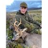 Image 2 : SL45 - SCOTTISH ROE DEER HUNT FOR 1 HUNTER