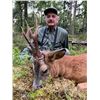 Image 4 : SL45 - SCOTTISH ROE DEER HUNT FOR 1 HUNTER