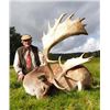 Image 8 : SL45 - SCOTTISH ROE DEER HUNT FOR 1 HUNTER