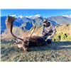 Image 11 : SL47 - SPANISH PYRENEAN CHAMOIS HUNT FOR 2 HUNTERS and 2 NON-HUNTERS