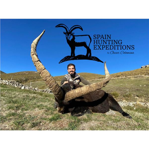 SL47 - SPANISH PYRENEAN CHAMOIS HUNT FOR 2 HUNTERS and 2 NON-HUNTERS