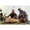 Image 2 : SL47 - SPANISH PYRENEAN CHAMOIS HUNT FOR 2 HUNTERS and 2 NON-HUNTERS