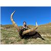 Image 3 : SL47 - SPANISH PYRENEAN CHAMOIS HUNT FOR 2 HUNTERS and 2 NON-HUNTERS