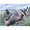 Image 6 : SL47 - SPANISH PYRENEAN CHAMOIS HUNT FOR 2 HUNTERS and 2 NON-HUNTERS