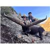 Image 7 : SL47 - SPANISH PYRENEAN CHAMOIS HUNT FOR 2 HUNTERS and 2 NON-HUNTERS