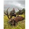 Image 9 : SL47 - SPANISH PYRENEAN CHAMOIS HUNT FOR 2 HUNTERS and 2 NON-HUNTERS