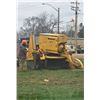 Image 7 : SL48 – 1 FULL DAY OF TREE CARE