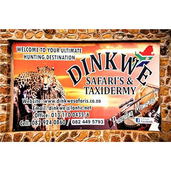 SL49 - SOUTH AFRICA PLAIN GAME AND TOURING SAFARI FOR 2 HUNTERS and 2 NON-HUNTERS