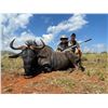 Image 2 : SL49 - SOUTH AFRICA PLAIN GAME AND TOURING SAFARI FOR 2 HUNTERS and 2 NON-HUNTERS