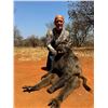 Image 5 : SL49 - SOUTH AFRICA PLAIN GAME AND TOURING SAFARI FOR 2 HUNTERS and 2 NON-HUNTERS