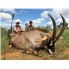 Image 7 : SL49 - SOUTH AFRICA PLAIN GAME AND TOURING SAFARI FOR 2 HUNTERS and 2 NON-HUNTERS