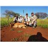 Image 8 : SL49 - SOUTH AFRICA PLAIN GAME AND TOURING SAFARI FOR 2 HUNTERS and 2 NON-HUNTERS