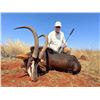Image 9 : SL49 - SOUTH AFRICA PLAIN GAME AND TOURING SAFARI FOR 2 HUNTERS and 2 NON-HUNTERS