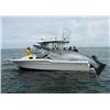 Image 10 : SL50 - LAKE MICHIGAN FISHING ADVENTURE FOR 4 ANGLERS