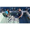 Image 3 : SL50 - LAKE MICHIGAN FISHING ADVENTURE FOR 4 ANGLERS