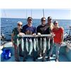 Image 5 : SL50 - LAKE MICHIGAN FISHING ADVENTURE FOR 4 ANGLERS