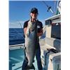 Image 6 : SL50 - LAKE MICHIGAN FISHING ADVENTURE FOR 4 ANGLERS
