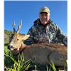 Image 1 : SPAIN EXPEDITION FOR 1 HUNTER & 1 OBSERVER FOR ROE DEER