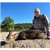 Image 2 : SPAIN EXPEDITION FOR 1 HUNTER & 1 OBSERVER FOR ROE DEER