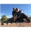 Image 5 : SPAIN EXPEDITION FOR 1 HUNTER & 1 OBSERVER FOR ROE DEER