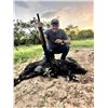 Image 2 : 3 DAYS FULLY GUIDED TEXAS HOG HUNT FOR ONE HUNTER (MUST BRING FULLY PAID SECOND HUNTER AT $1,800)