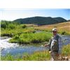 Image 6 : 2 DAYS MONTANA FLY FISHING FOR 2 ANGLERS