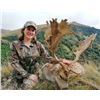 Image 12 : NEW ZEALAND HUNT FOR TWO HUNTERS IN PURSUIT OF RED STAG, GOAT AND RAM IN 2026, 2027 OR 2028