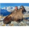 Image 13 : NEW ZEALAND HUNT FOR TWO HUNTERS IN PURSUIT OF RED STAG, GOAT AND RAM IN 2026, 2027 OR 2028