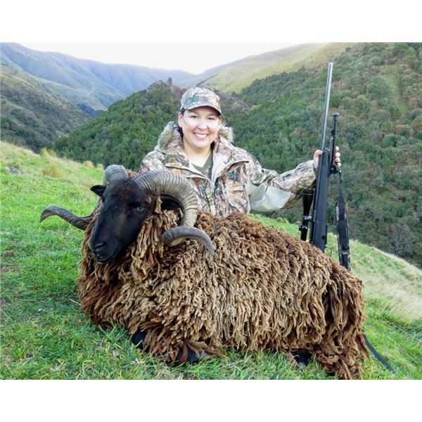 NEW ZEALAND HUNT FOR TWO HUNTERS IN PURSUIT OF RED STAG, GOAT AND RAM IN 2026, 2027 OR 2028