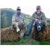 Image 2 : NEW ZEALAND HUNT FOR TWO HUNTERS IN PURSUIT OF RED STAG, GOAT AND RAM IN 2026, 2027 OR 2028