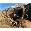 Image 3 : NEW ZEALAND HUNT FOR TWO HUNTERS IN PURSUIT OF RED STAG, GOAT AND RAM IN 2026, 2027 OR 2028
