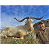 Image 5 : NEW ZEALAND HUNT FOR TWO HUNTERS IN PURSUIT OF RED STAG, GOAT AND RAM IN 2026, 2027 OR 2028